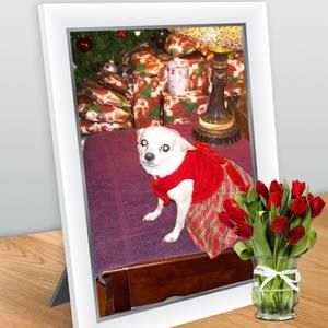 Meet your Posher, Jody